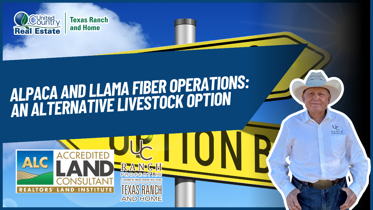 Alpaca and Llama Fiber Operations: An Alternative Livestock Option